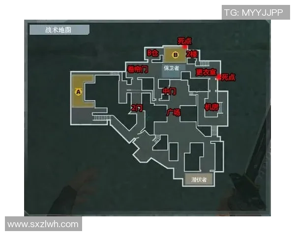 上海排球队战术解析：从进攻到防守的全面剖析与实践应用