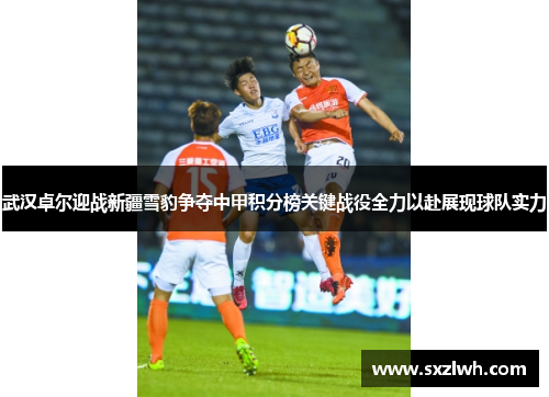 武汉卓尔迎战新疆雪豹争夺中甲积分榜关键战役全力以赴展现球队实力